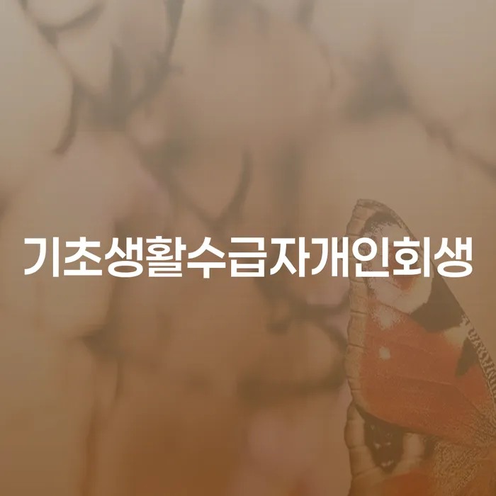 신용불량자사면 개인회생 하는 중요한 팁
