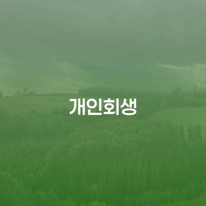 알기쉬운개인회생절차 개인회생 제도 성공하려면