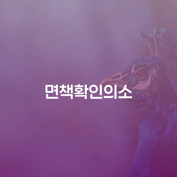 개인회생신청자격 빚갚는 방법 잘하는 변호사