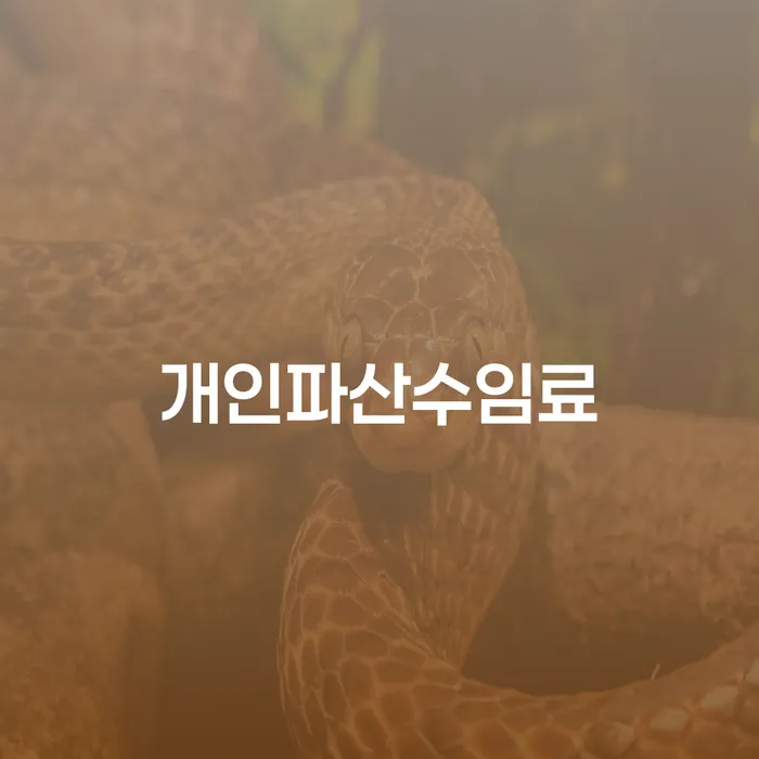 개인회생폐지 후 재신청 빚갚는 방법 궁금하다면..