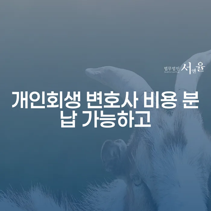 개인회생불이익 개인회생 확인하자