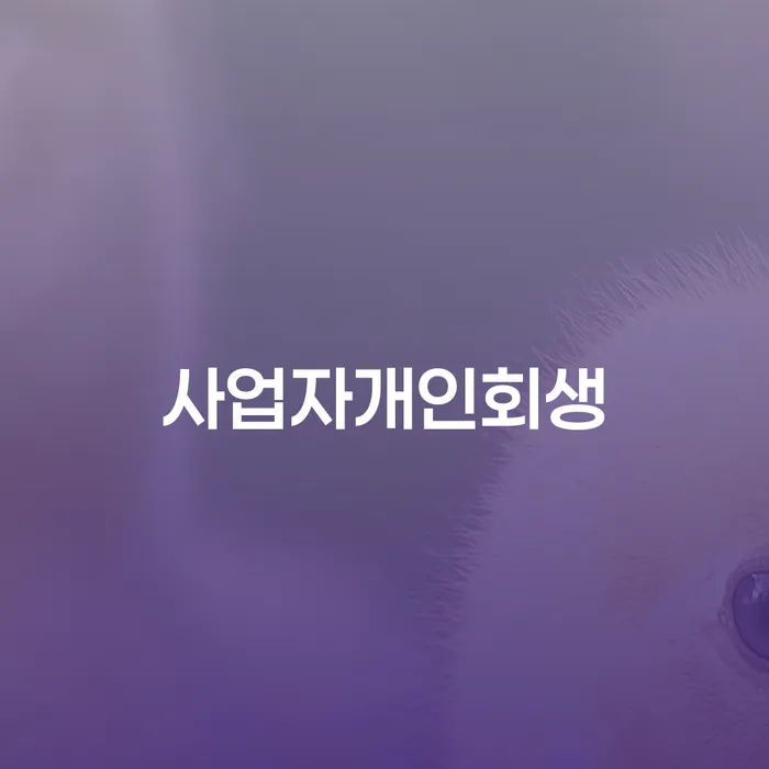 개인파산회생 개인회생 문제해결방법 알아야 하는 꿀팁