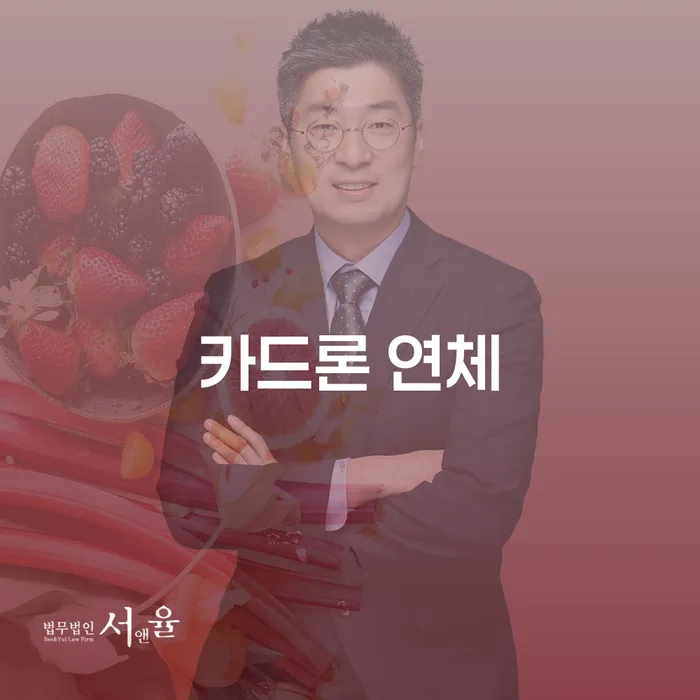 청양군 저금리대출 연체 시 빚 해결할 해결하는 방법