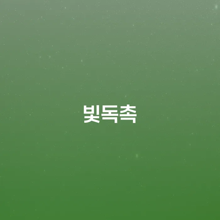 보은군 사채이자가 감당이 안될 때 빚청산 잘하는 변호사