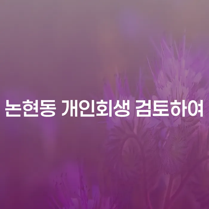 논현동 개인회생 검토하여