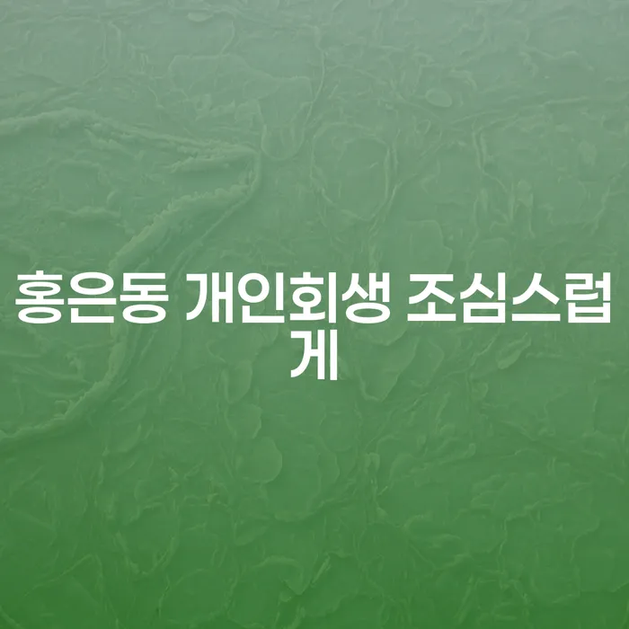 홍은동 개인회생 조심스럽게