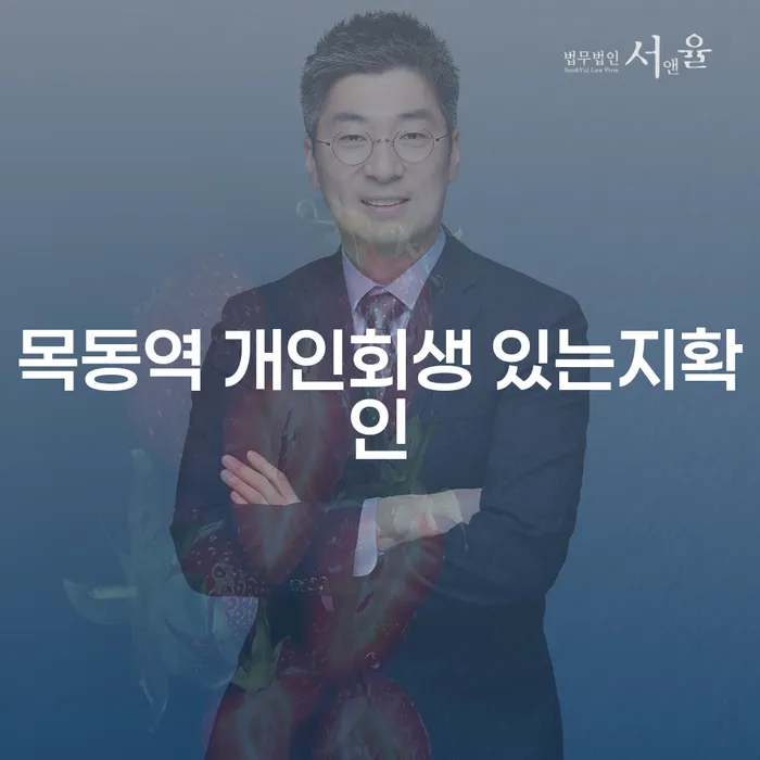 목동역 개인회생 있는지확인