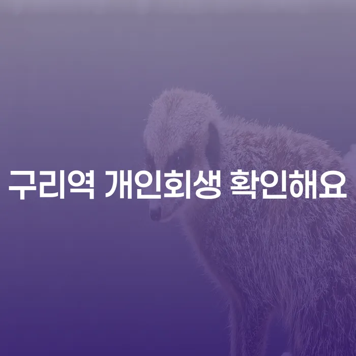 구리역 개인회생 확인해요