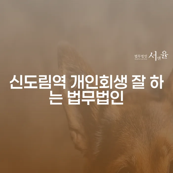 신도림역 개인회생 잘 하는 법무법인