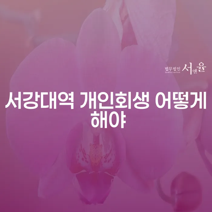 서강대역 개인회생 어떻게 해야