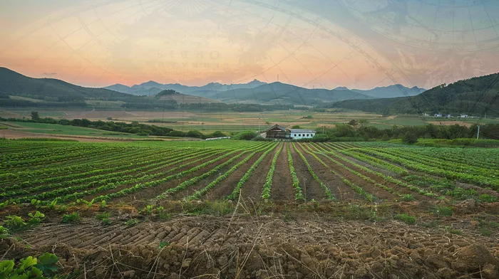 개인회생 변제금 상환 완료 후 절차