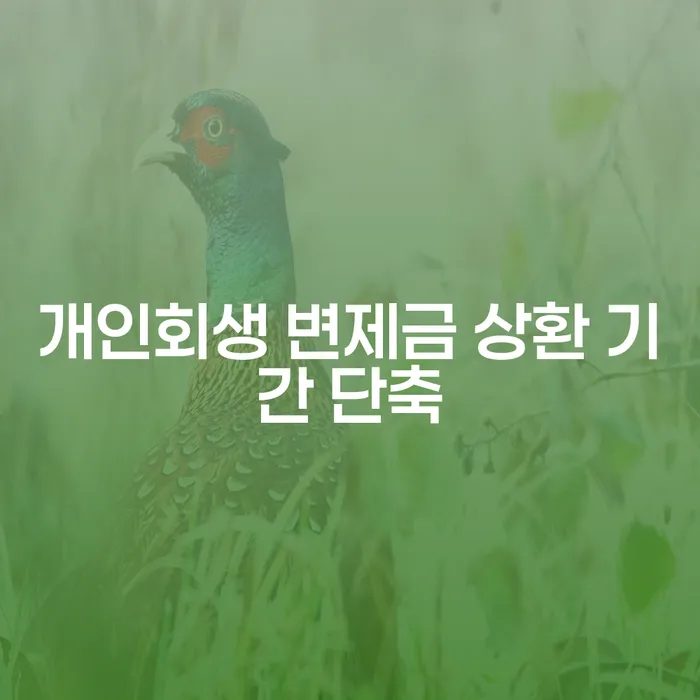 개인회생 변제금 상환 기간, 어떻게 단축할 수 있을까요?