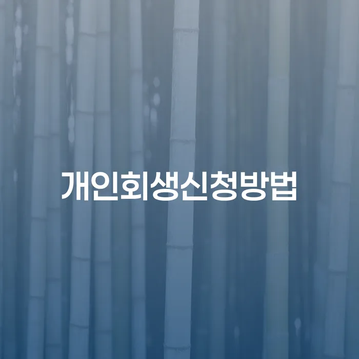 회현동 개인회생 신청방법과 성공사례