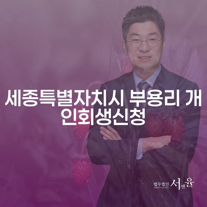 세종특별자치시 부용리에서 개인회생신청을 어떻게 해야 할까요?