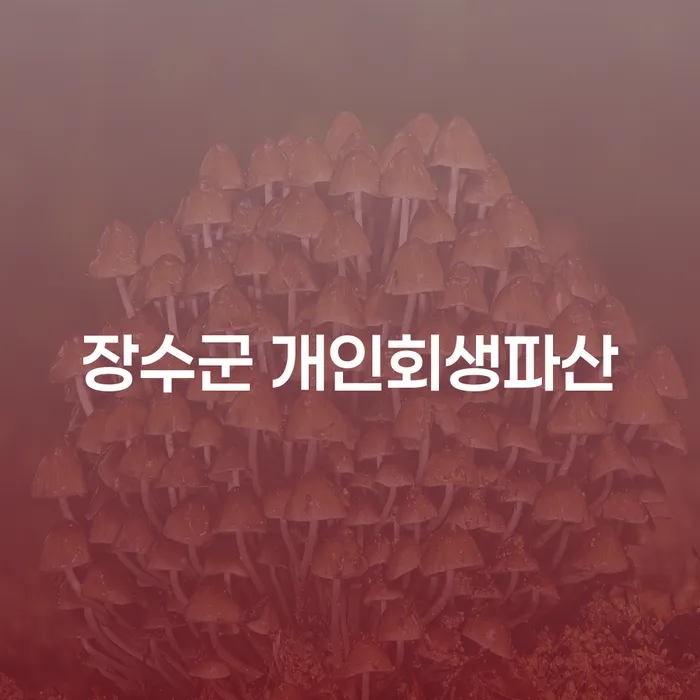 장수군에서 개인회생과 개인파산을 고려할 때 주의할 점은?